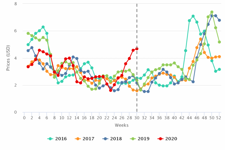 Strawberries prices skyrocket
