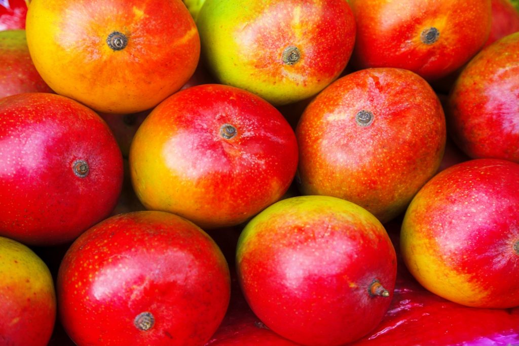 Dominican Republic mango exports to the U.S. surpassed Haiti’s in 2022