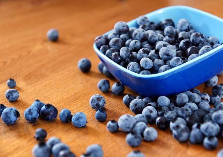 Indian blueberry industry