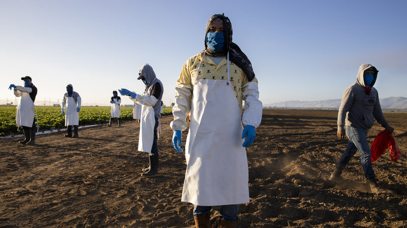 Wildfires make dangerous air for farmworkers