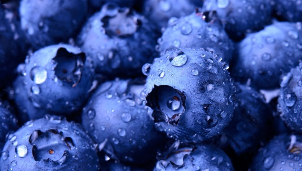 ‘I think we’ve proved our case to the ITC’, says blueberry coalition opposed to import changes