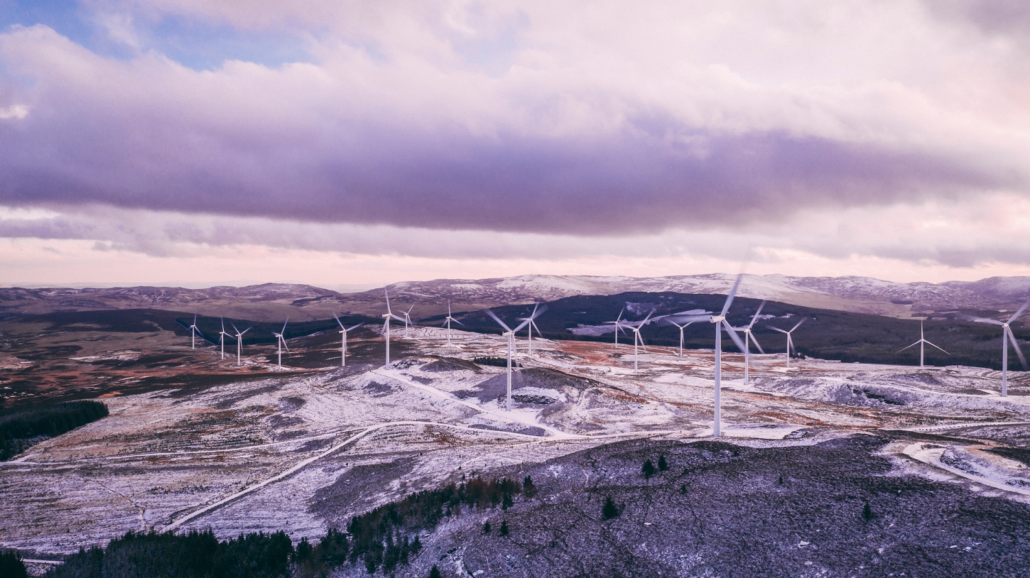 Total Produce UK's sites complete transition to renewable energy - Vimarsana News