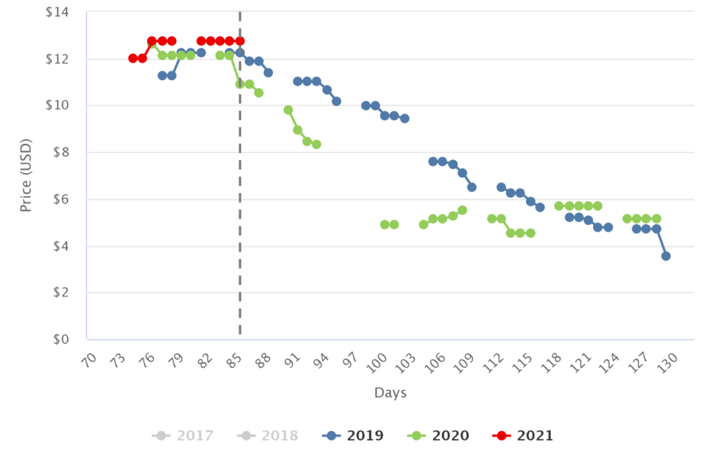 Florida blueberries begin season with higher prices than last two years