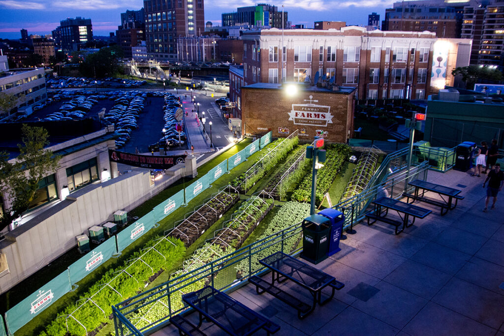 Tanimura & Antle acquires Boston-based Green City Growers