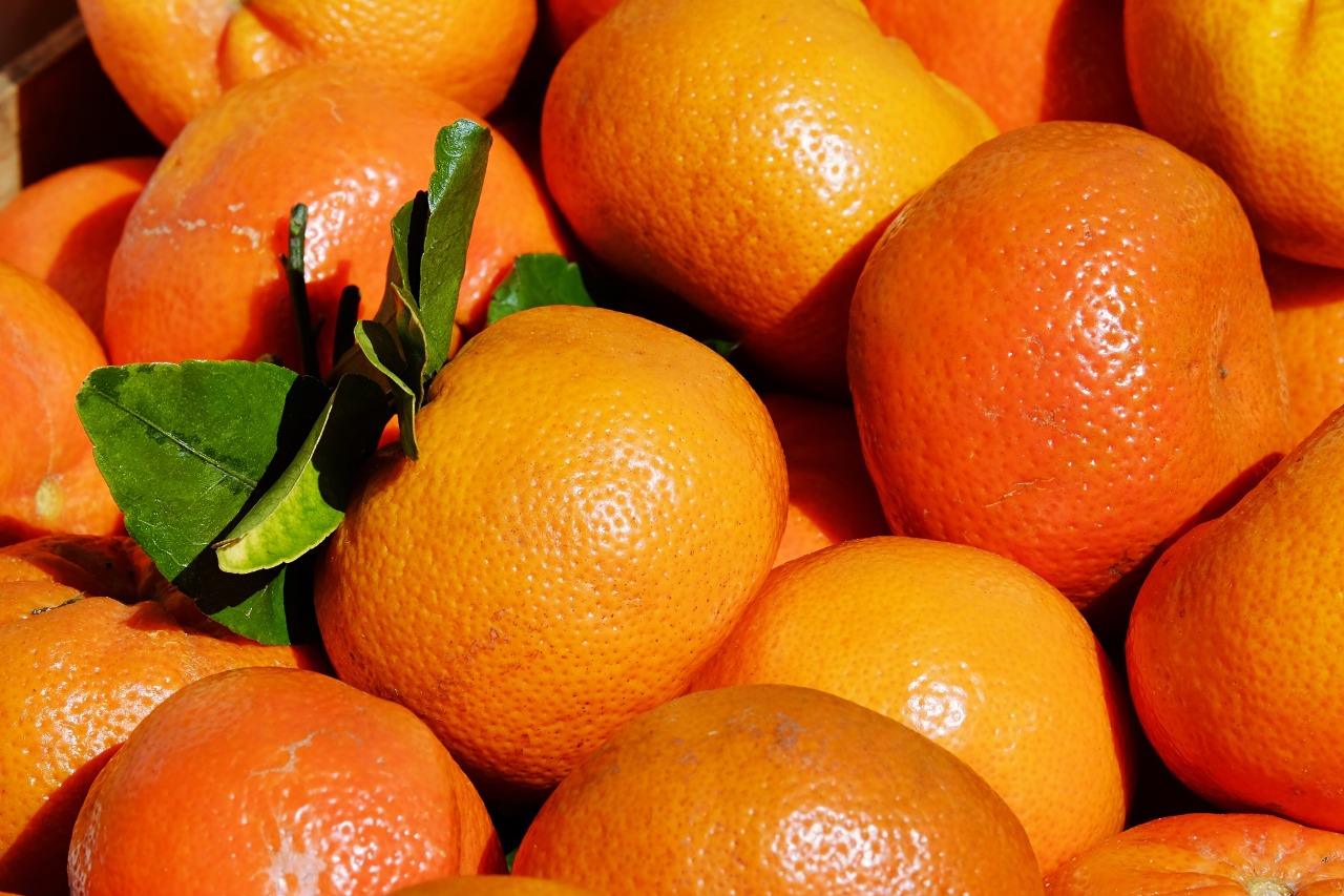 Agronometrics in Charts A snapshot of tangerines, a new fruit on
