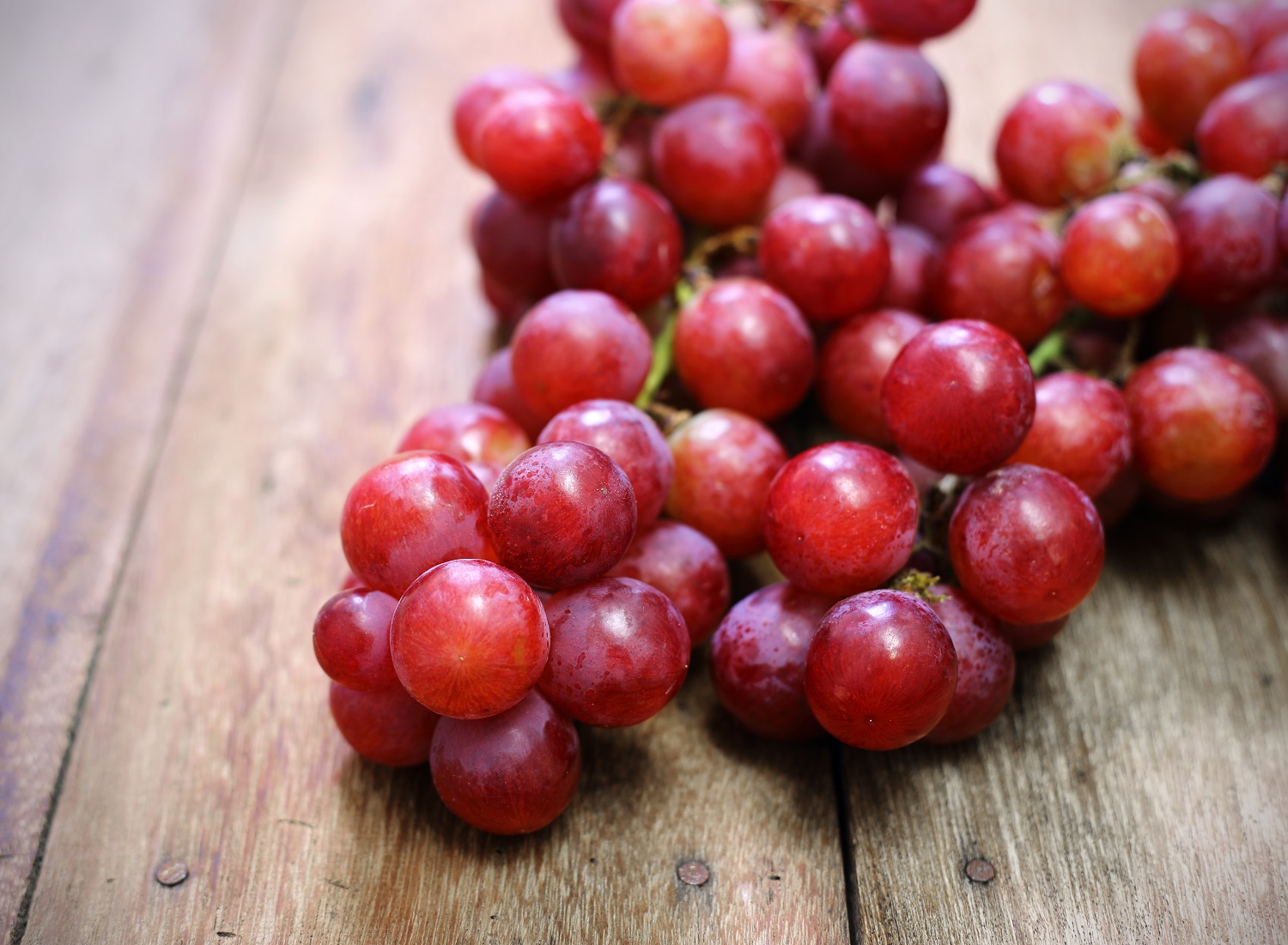 South African grape industry expects to exceed latest export estimate - Vimarsana News