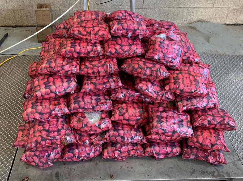 U.S. intercepts $8M of meth hidden in strawberries