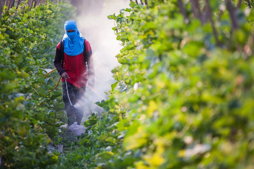 Pesticides harming vital soil organisms, study claims