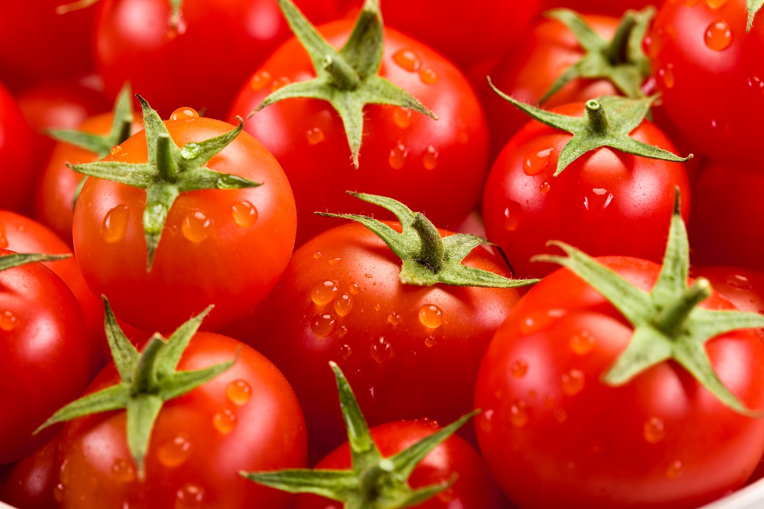 Perishable imports being impacted at U.S.-Mexico border - Vimarsana News