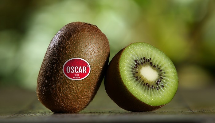 Primland begins marketing Chilean kiwifruit to maintain year-round supply