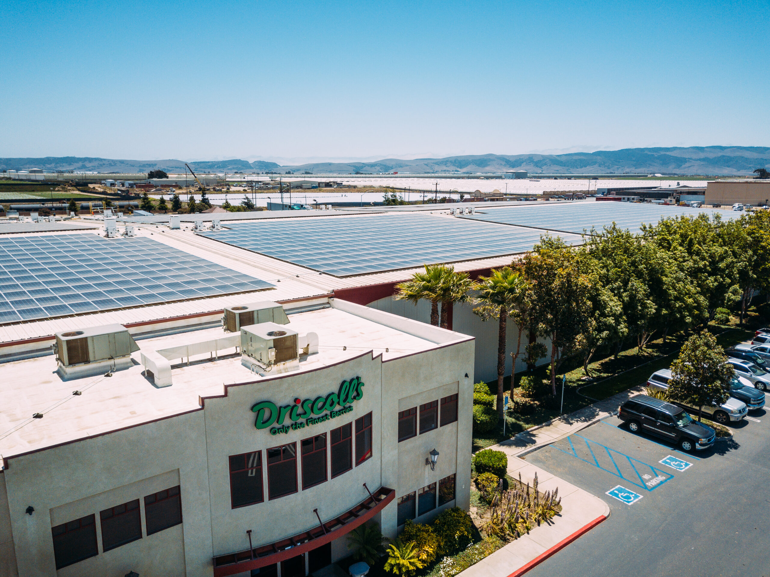 Driscoll's transitions Santa Maria cooling facility to solar