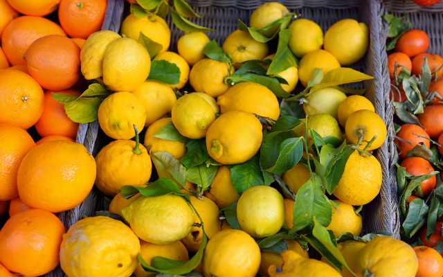 Chilean Citrus Committee partners with Shopkick to promote U.S. purchasing