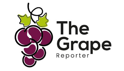 The Grape Reporter, the exclusive strategy and analysis platform for the global table grape industry