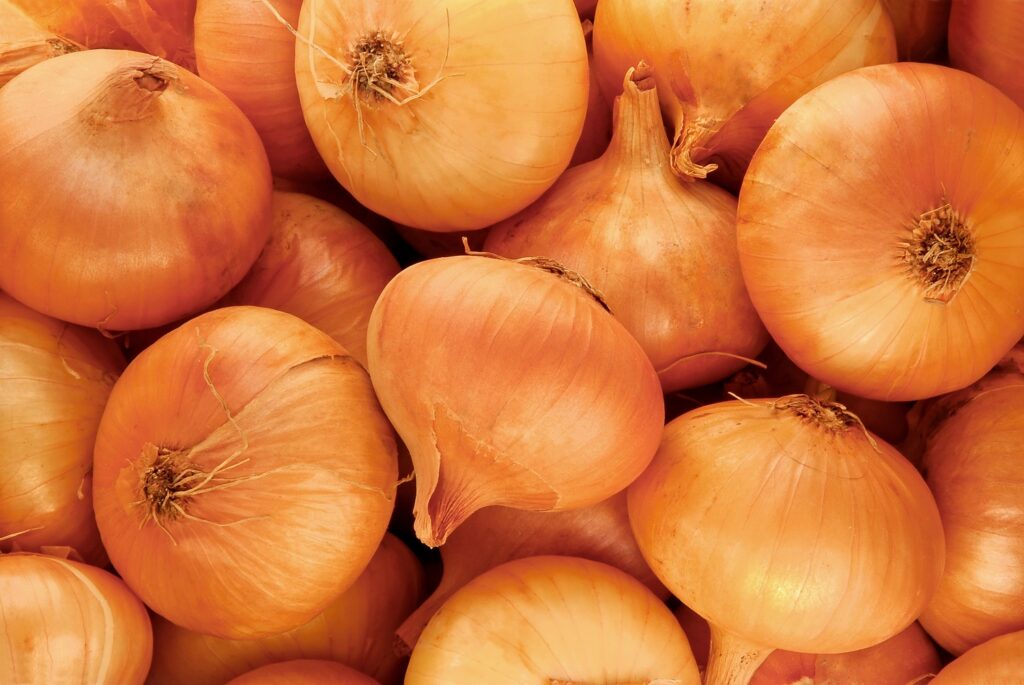 More companies recall onions linked to salmonella outbreak