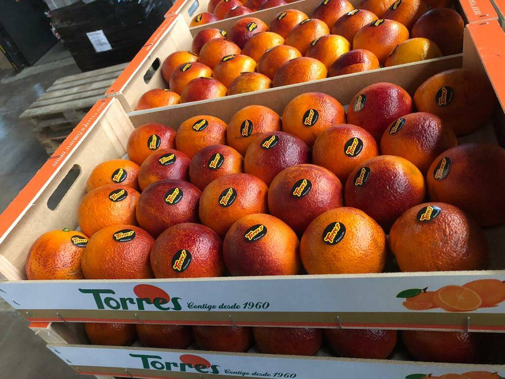 Llusar acquires Naranjas Torres, creates largest Spanish premium citrus group