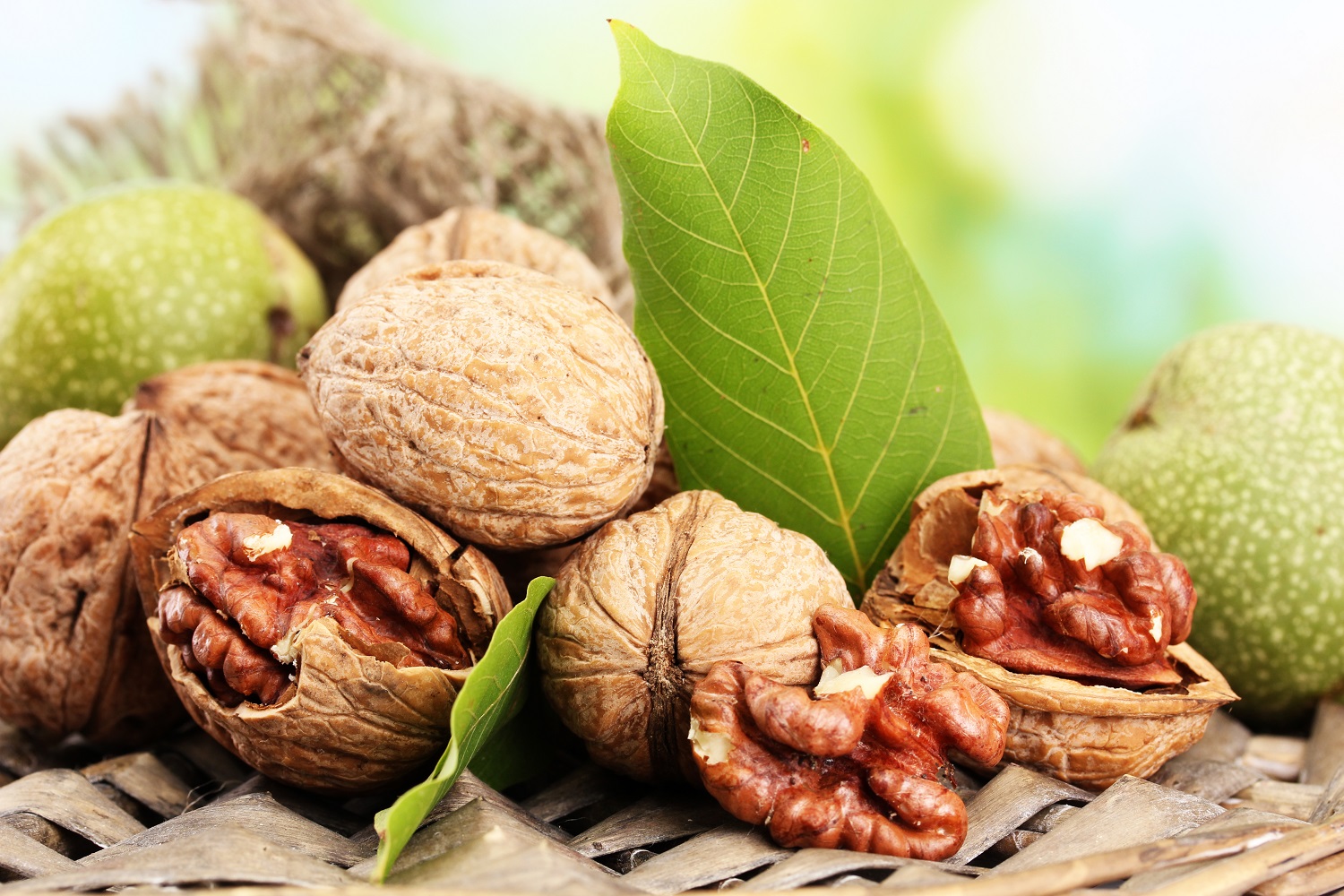 California tree nut expert to provide valuable insights to walnut