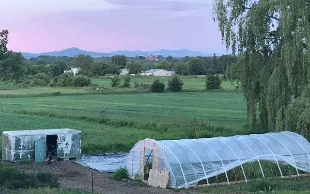 How to build a greenhouse in a cold climate