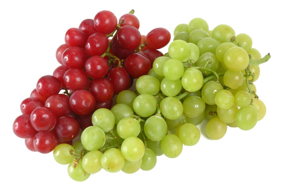 Chile's Asoex releases table grape export estimate