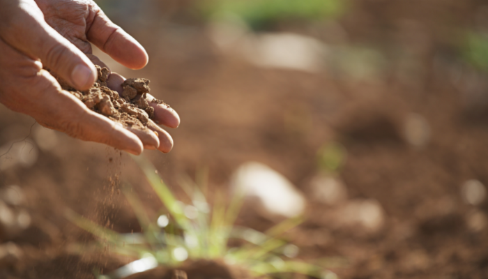 A guide to soil testing on fruit and vegetable farms