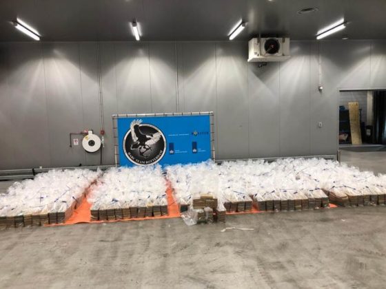 Dutch officers seize over 4 tons of cocaine hidden among bananas at Rotterdam port