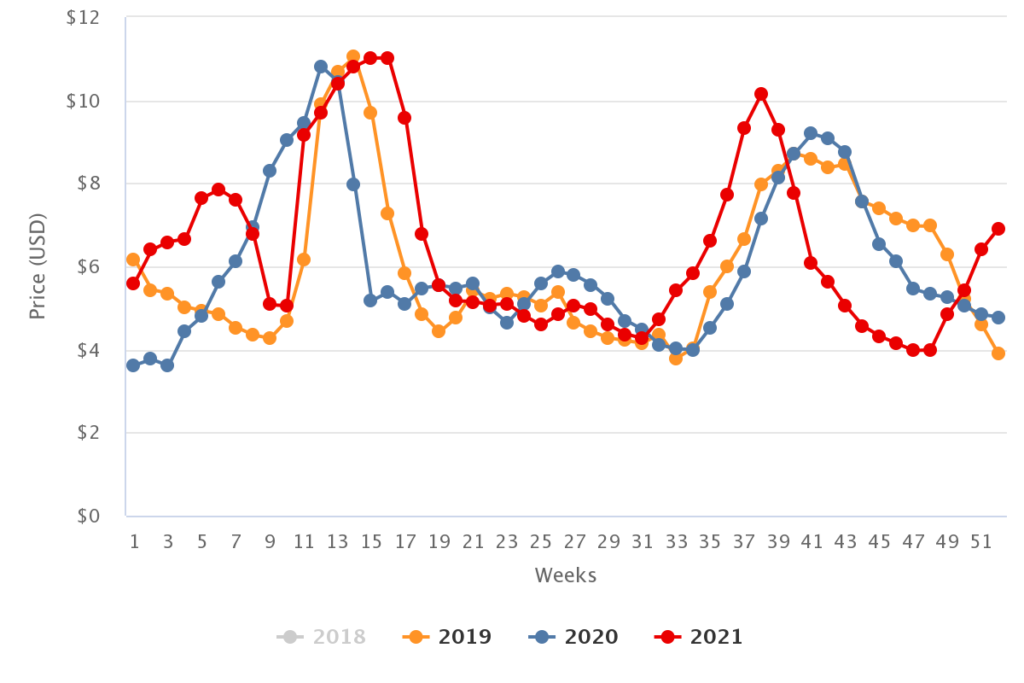 Berry prices see magnificent growth yearonyear in U.S. market