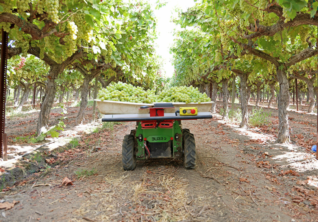 Autonomous table grape robot among World Ag Expo's new products