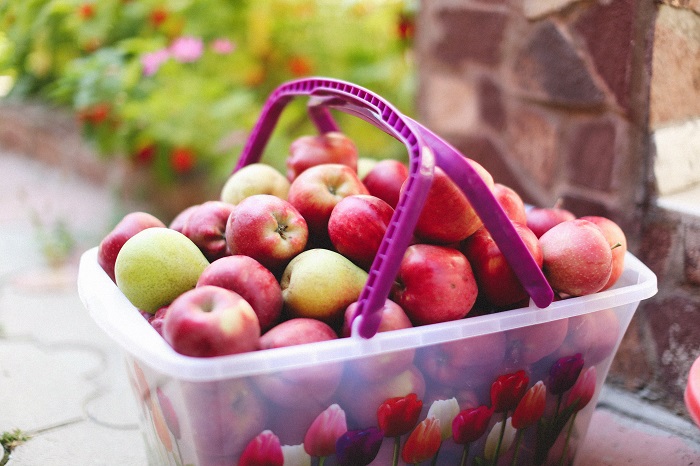 Australian apple production forecast down 8% year-on-year