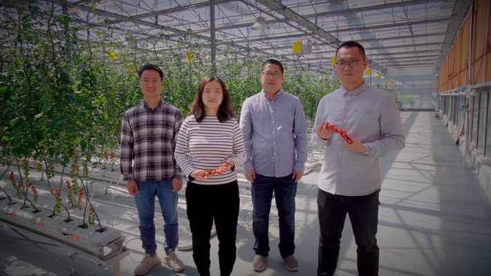 Pinduoduo’s Smart Agriculture Competition acts as bridge connecting academia, technology sector and growers