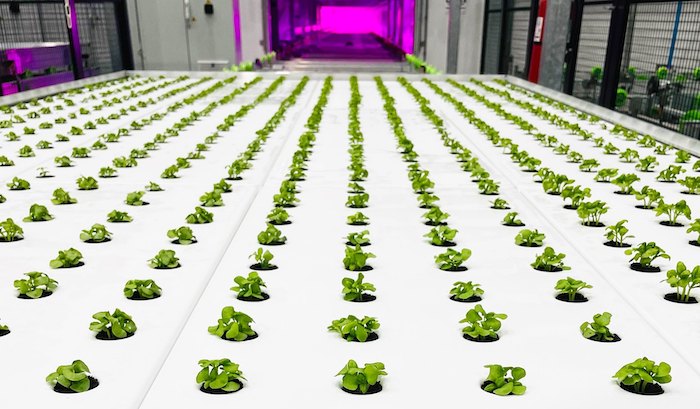 80 Acres Farms to increase output by 700% amid vertical farming boom