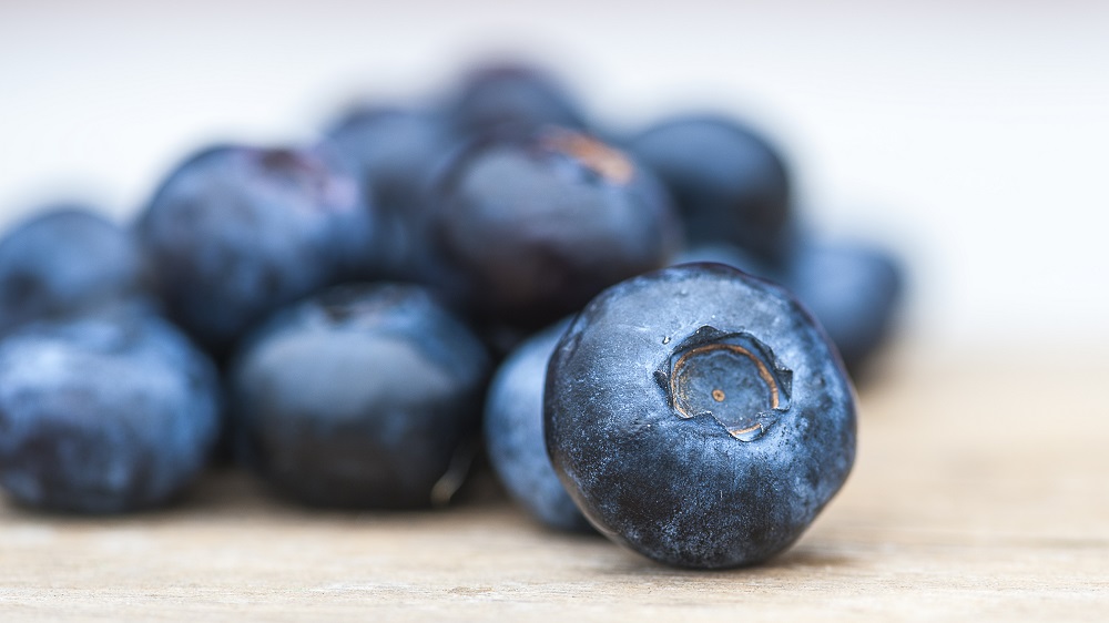 Ecuadorian blueberries enter the international market