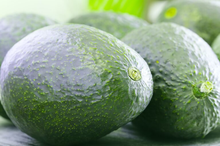 Peruvian avocados branch out with new formats