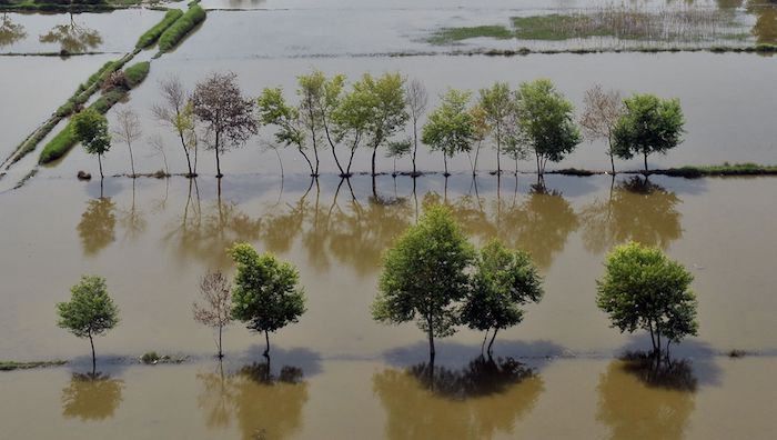 Sydney floods add to soaring vegetable prices