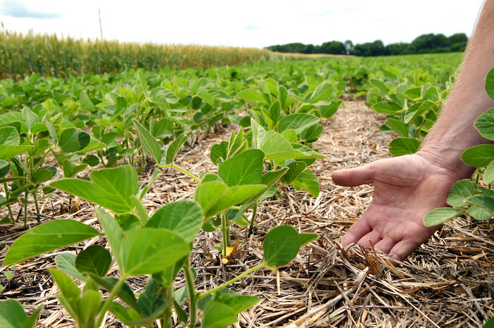 Syngenta announces double-digit sales growth for Q2 and H1