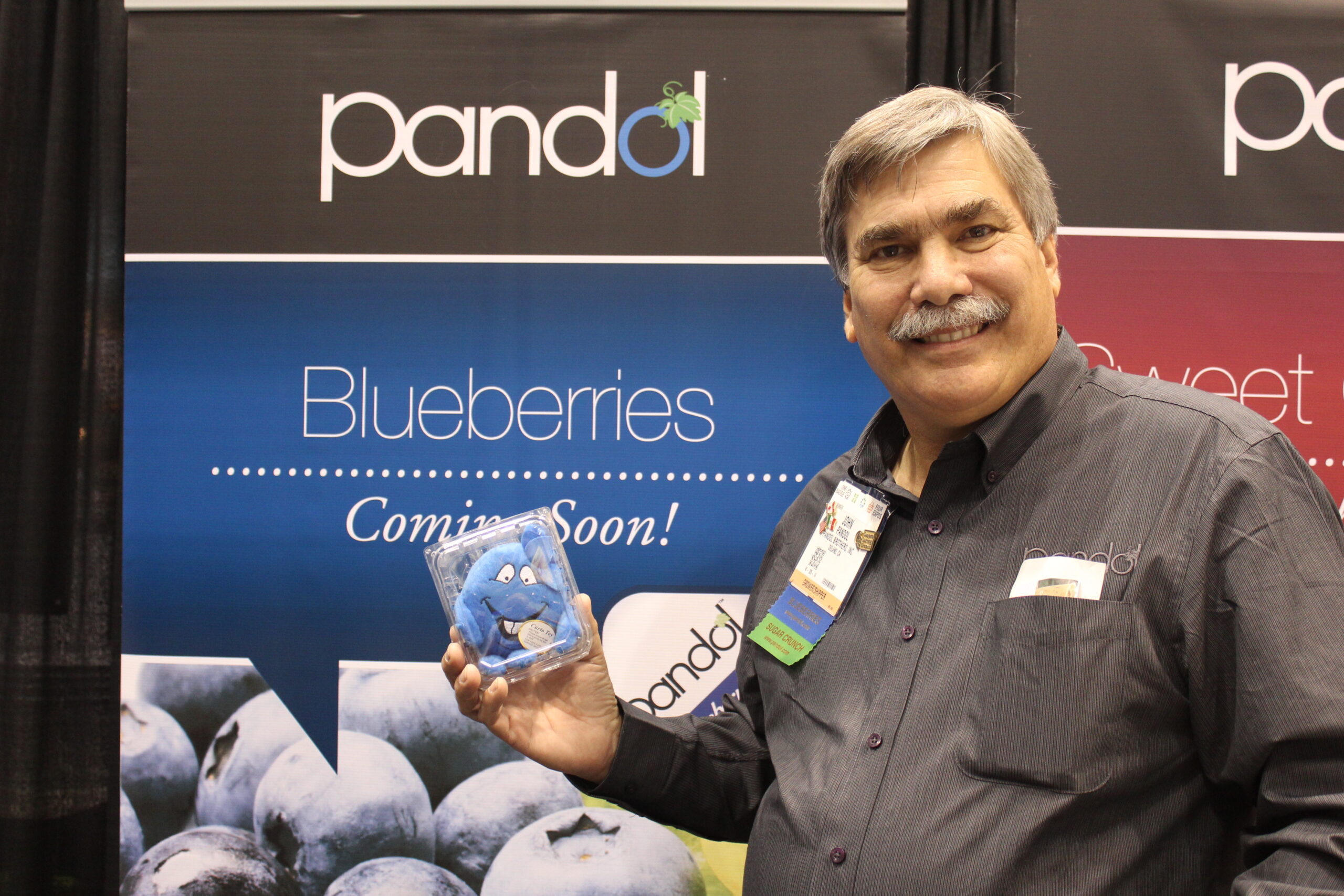 Promotable Latin American blueberry volumes en route to U.S.