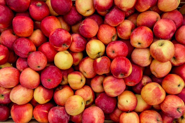 Belgian apple