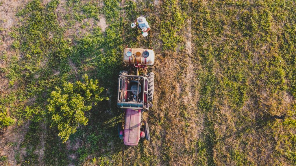 EU halts pesticide exemption for French sugar beet farmers