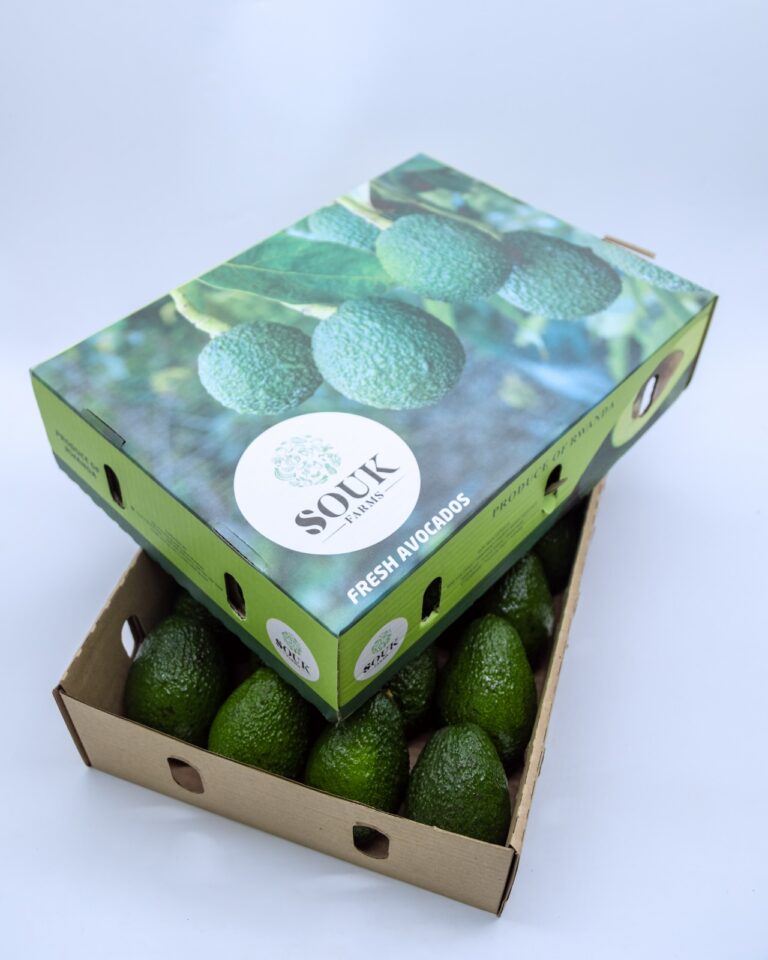 Avocado Rwanda Rwandan avocado exports to grow exponentially by 2026