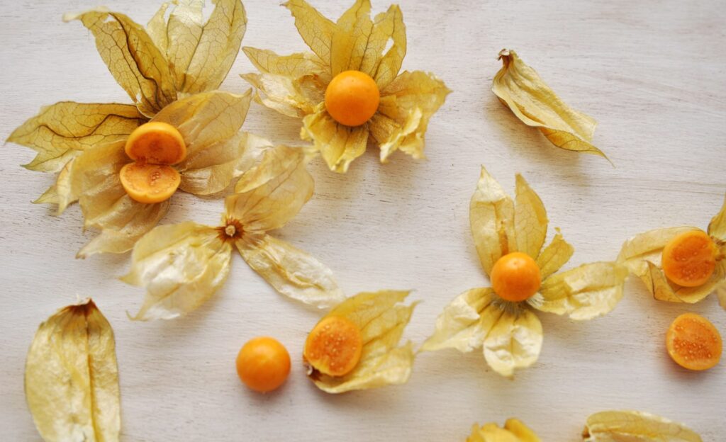 Ecuadorian goldenberry deal offers year-round supply