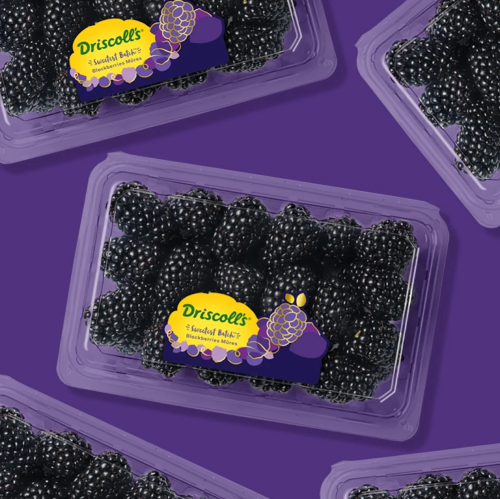 Driscoll’s berry improvement never ends