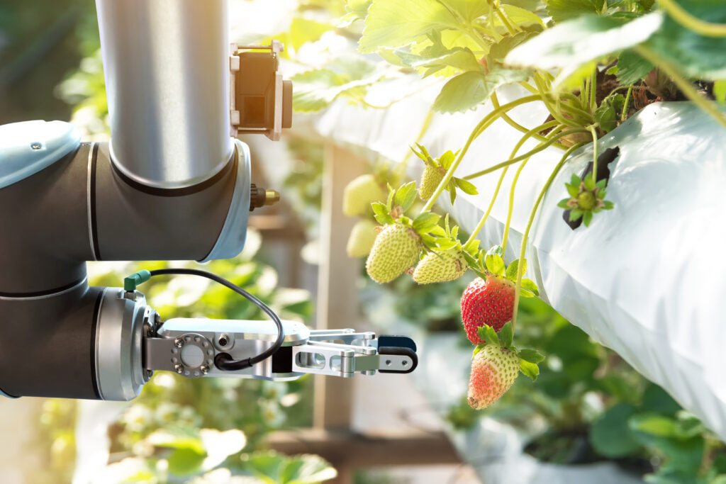 University of Florida to build ag research AI hub