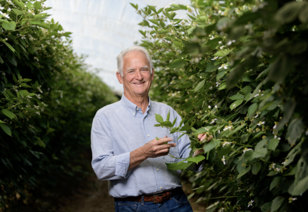 Soren Bjorn named CEO of Driscoll’s