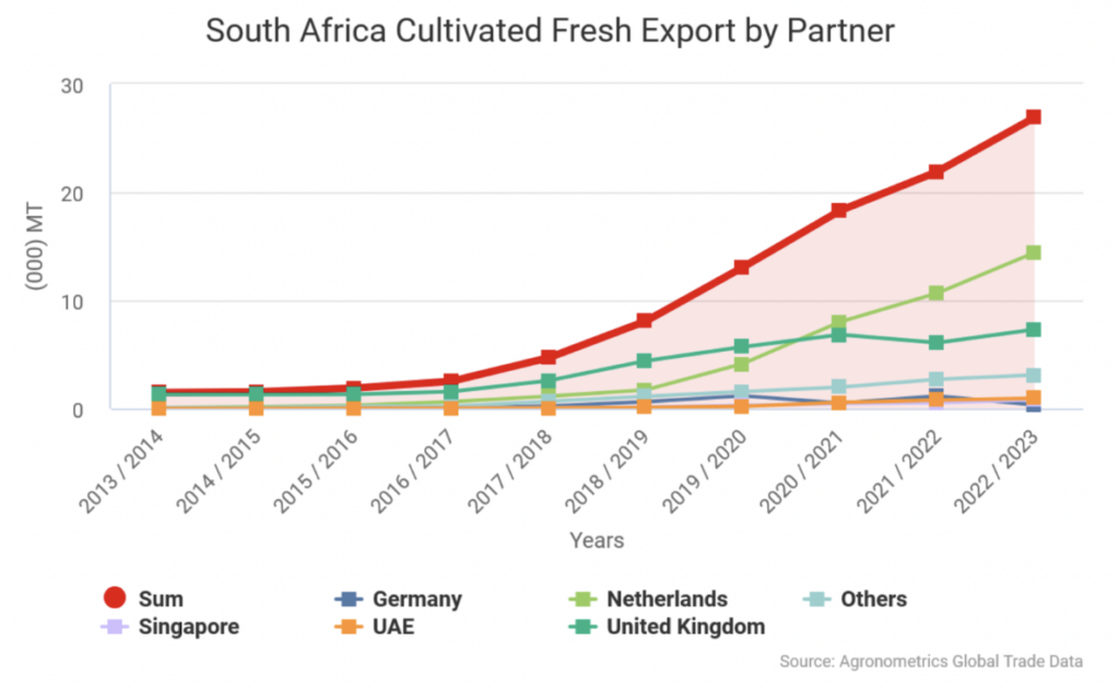 The rise of South African blueberries - International Blueberry ...