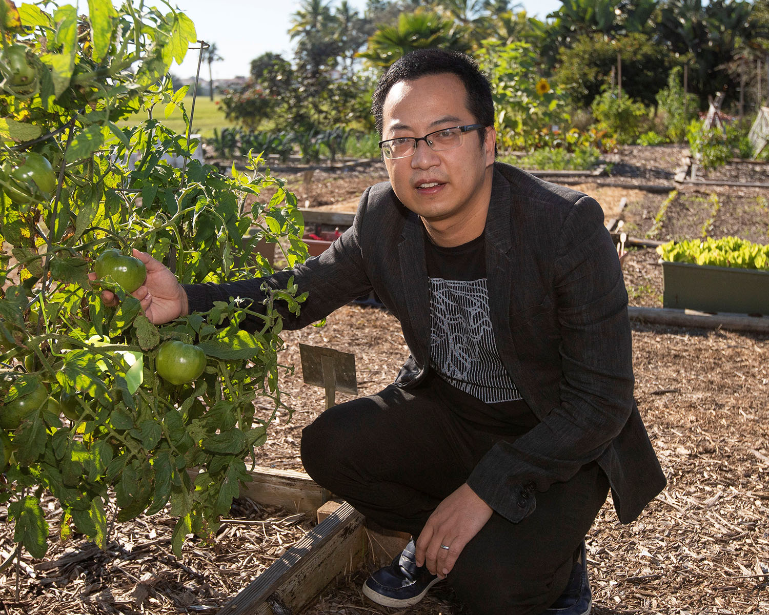 Can urban agriculture sow sustainable food production, resilient