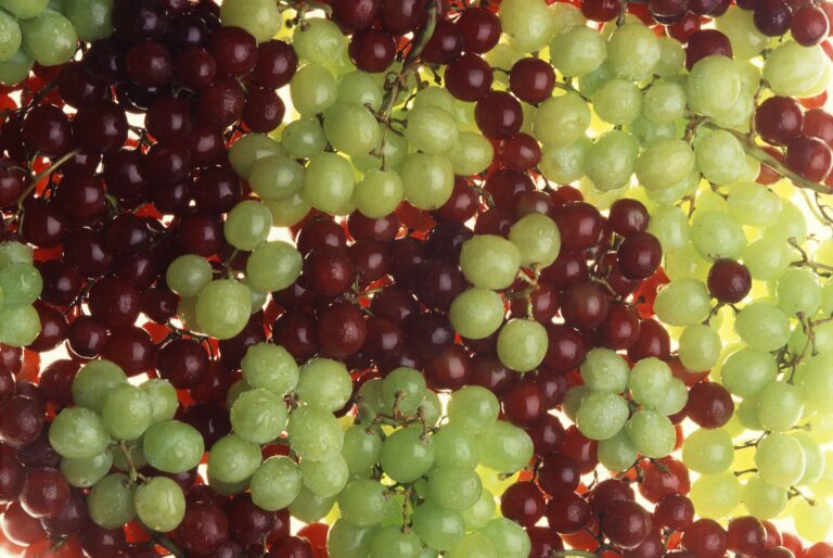 California grapes