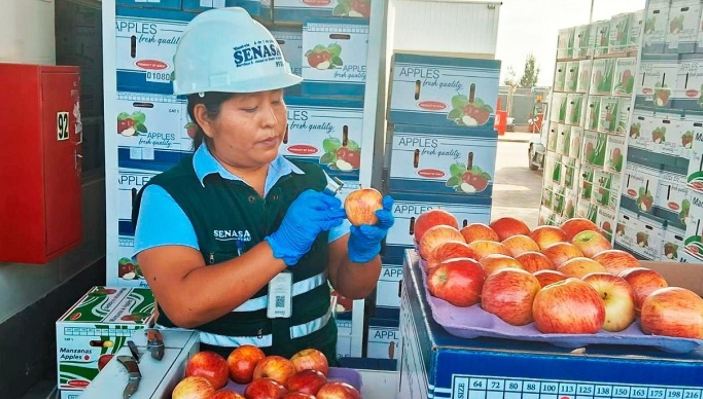Peru approves temporary lifting of suspension of phytosanitary requirements for Chilean apples and stone fruit - Vimarsana News