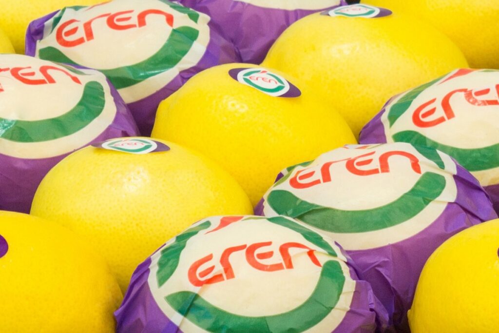 Turkish citrus industry gears up for another season with varying