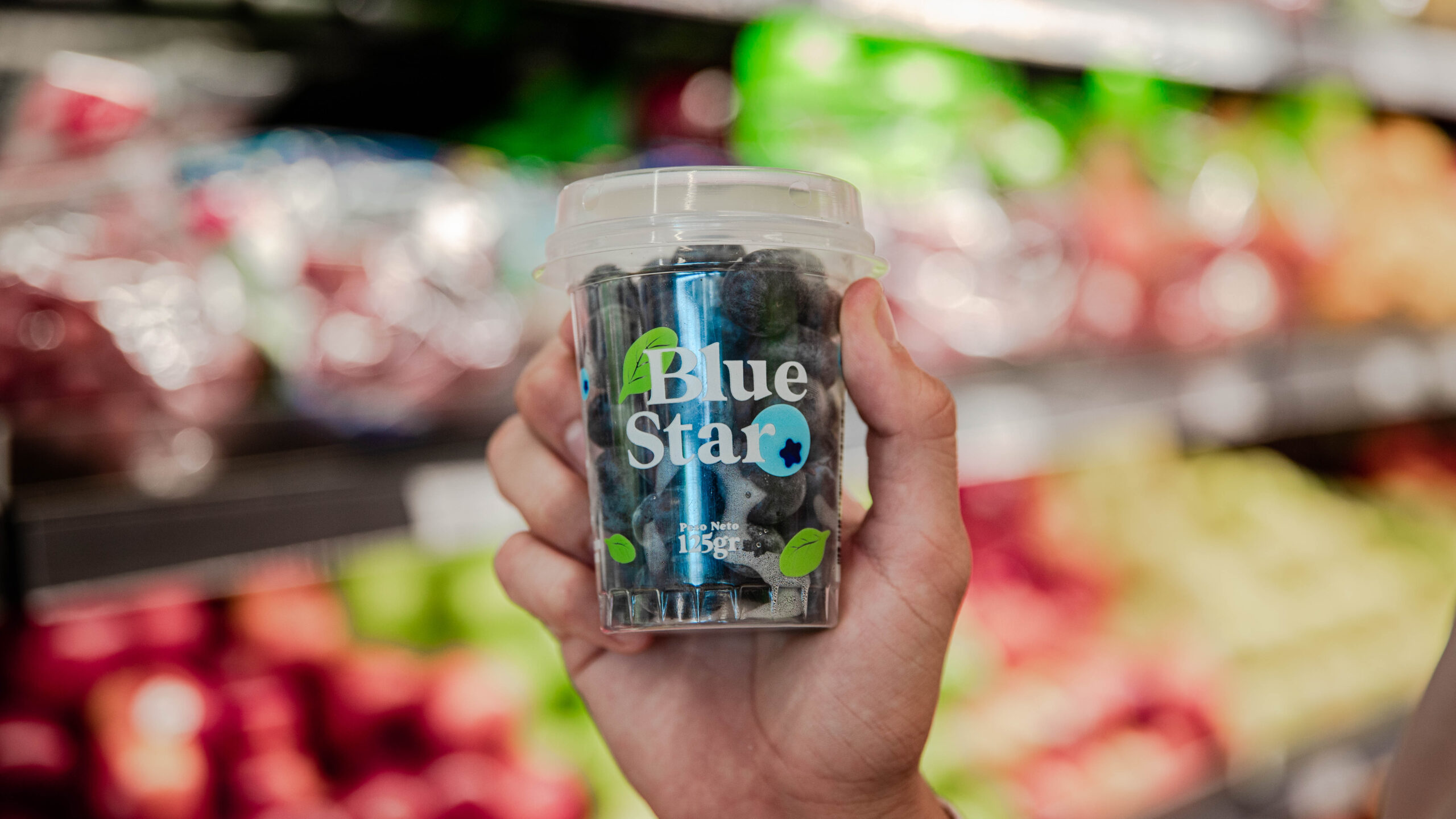 Ecuador's Nobis Fruit Company launches blueberry exports to Hong Kong