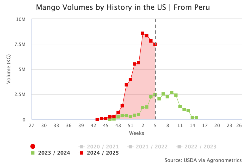 Peruvian mango industry faces tough season