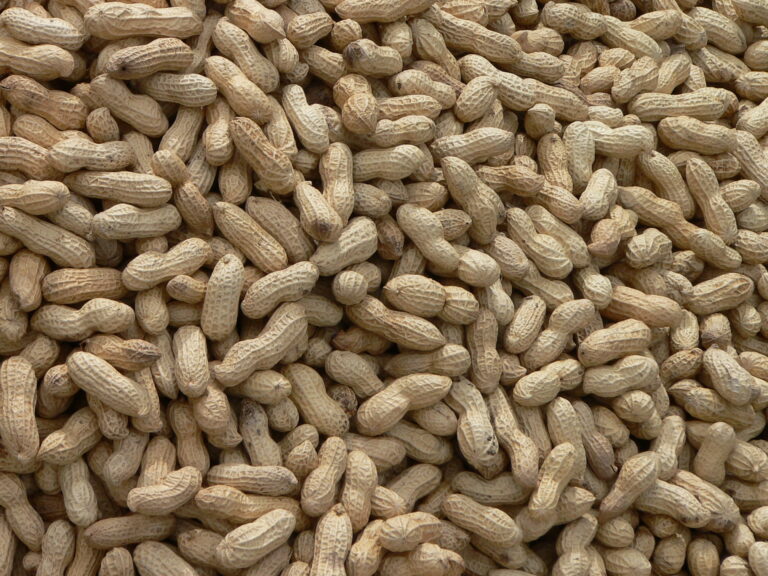 peanuts