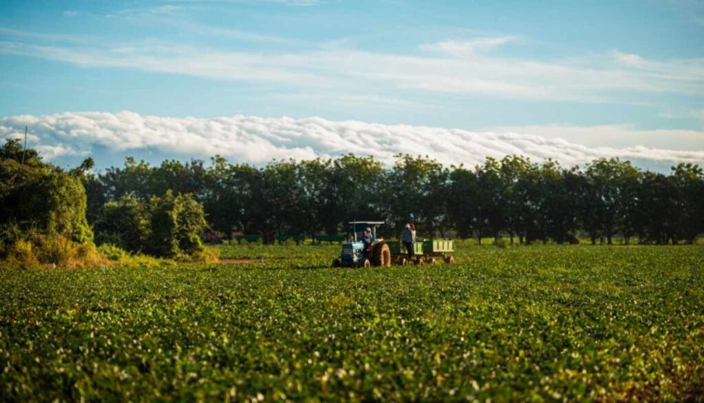 Fresh Del Monte receives SEAL Business Sustainability Award 2025